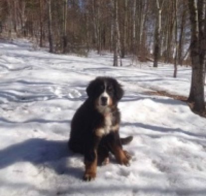 Жанна Мухина