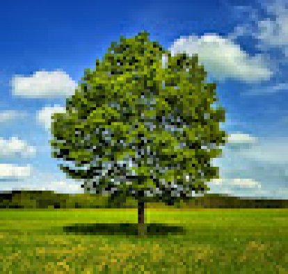 Виктория Сальник